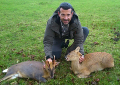 Caza Muntjac y CWD en Inglaterra