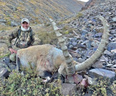Caza Ibex Altai en Mongolia