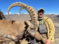 Caza Ibex Gobi en Mongolia
