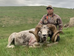 Caza Argali Khangai en Mongolia