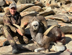 Caza Argali Altai en Mongolia