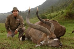 Safari Nyala de montaña en Etiopia