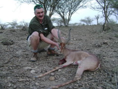 Safari antílopes en Etiopia